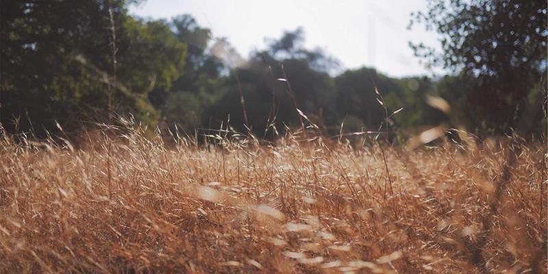 从大唐屋的采光通风到现代设计：古代智慧如何点亮蒸汽波风格与文创产品