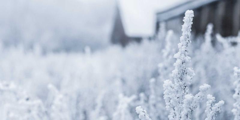 大唐屋50：蒸汽波浪潮下的文化创意新地标，如何重塑现代文化交流体验？