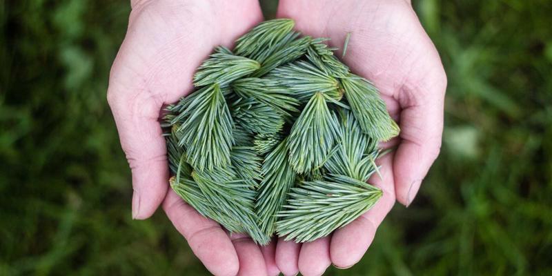 大唐屋57：蒸汽波美学与数字设计平台的跨界革命