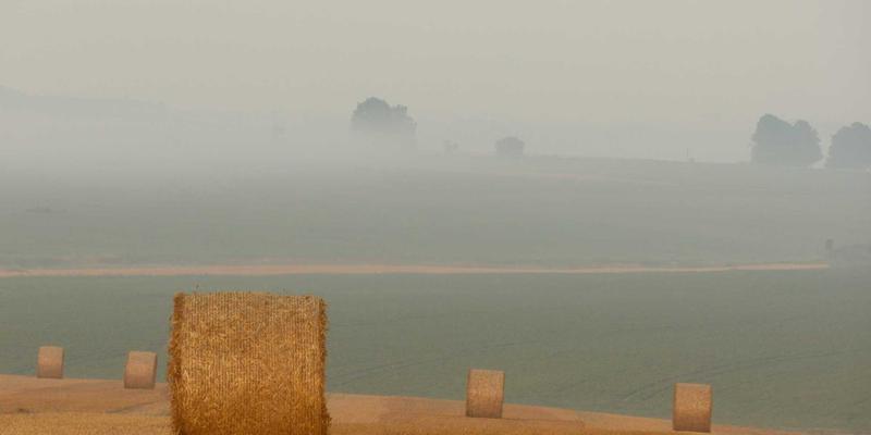 大唐屋75：当蒸汽波美学碰撞文化创意，一场穿越千年的数字霓虹梦