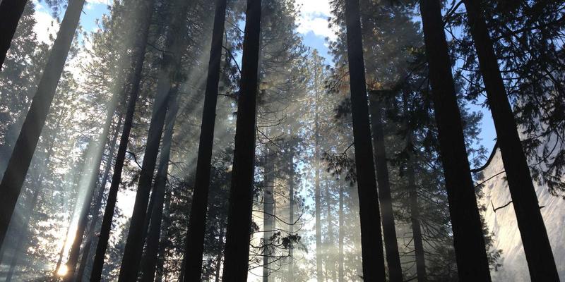 大唐屋96：当蒸汽波美学遇见数字设计平台的跨界革命