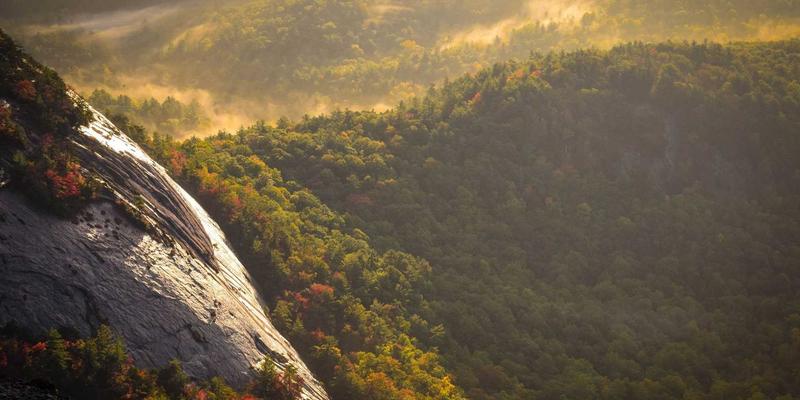 大唐屋前景：蒸汽波美学与传统文化在设计平台的跨界新生