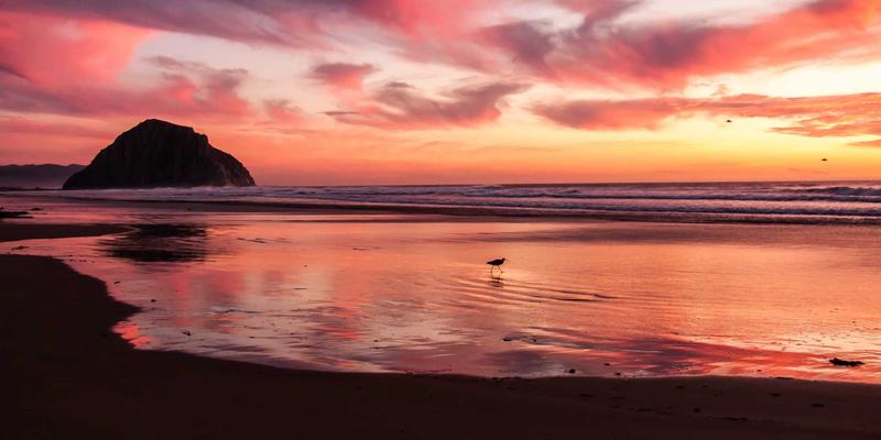 大唐屋现象：当文化IP成为新消费浪潮，文创产品如何重塑现代生活美学