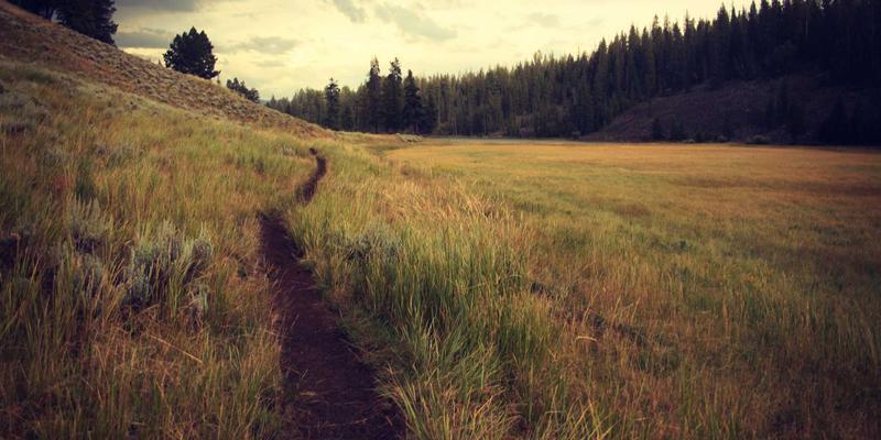 当大唐屋邂逅蒸汽波：传统文化符号在当代商业空间的创新应用